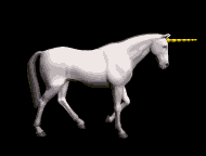 unicornb1.gif - 27226 Bytes